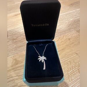Tiffany and Co Diamond and Platinum Pendant on Platinum chain